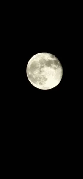 暗い空の満月の垂直ショット — ストック写真