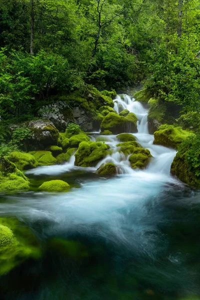 Fluxo Cachoeira Paisagem Rio Com Rochas Musgosas Árvores Eslovénia — Fotografia de Stock