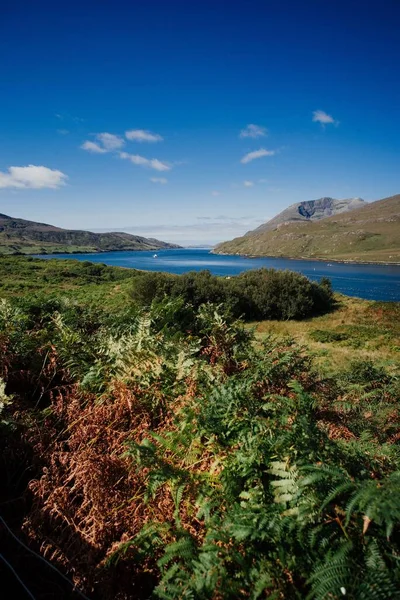 Vertikální Záběr Krajiny Národním Parku Connemara Irsku — Stock fotografie