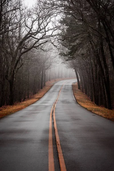 Вертикальний Знімок Вузької Дороги Між Листяними Деревами Туманний День — стокове фото