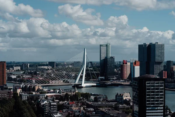 Una Splendida Vista Sul Ponte Erasmusbrug Nei Paesi Bassi Rotterdam — Foto Stock