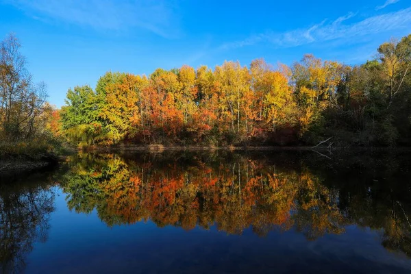 Красивый Пейзаж Красочной Осенней Листвы Деревья Осеннего Цвета Отражающиеся Зеркальном — стоковое фото