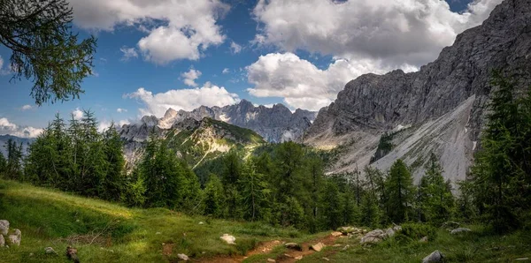 スロベニアのユリシェケ アルプ山脈と木の風景 — ストック写真
