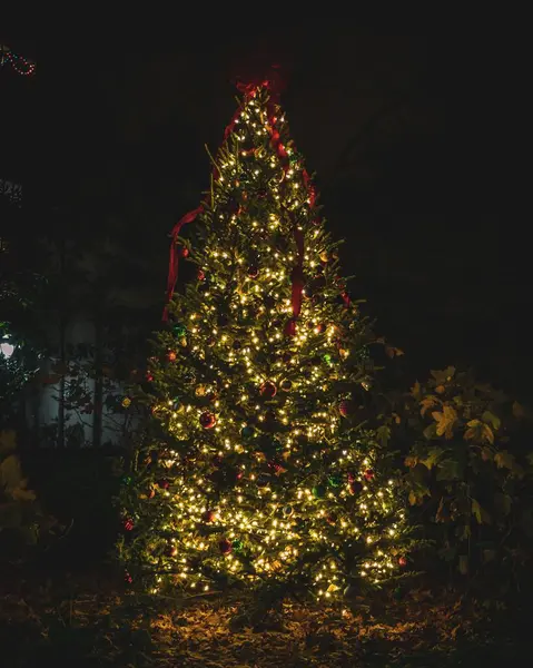 Vertikální Záběr Jasně Zdobeného Vánočního Stromku Tmavém Lese — Stock fotografie