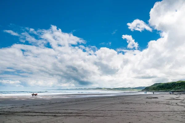 Uma Bela Vista Uma Praia Raglan Nova Zelândia — Fotografia de Stock