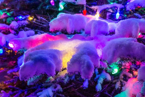 Bir Kar Yağışı Sonrası Ağaçtaki Işıkların Yakın Çekimi — Stok fotoğraf