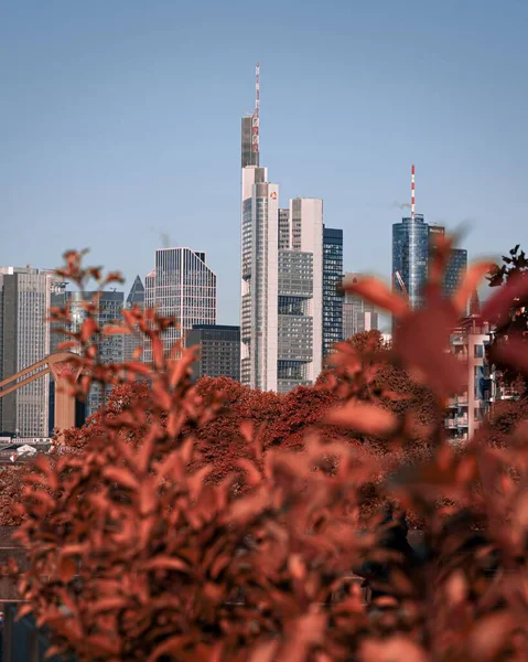 Вертикальный Снимок Башни Commerzbank Красных Растений Переднем Плане Франкфурте Германия — стоковое фото