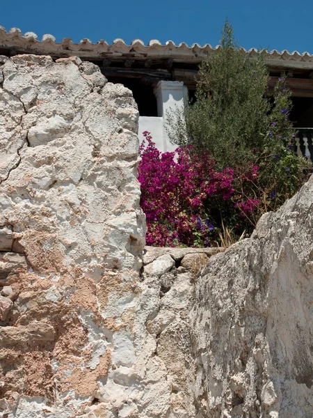 Pionowe Ujęcie Starego Kamiennego Muru Purpurowych Kwiatów Zielonymi Roślinami Nim — Zdjęcie stockowe