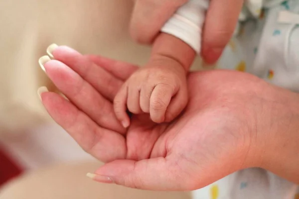 Vacker Utsikt Över Nyfödd Hand Mammas Hand — Stockfoto
