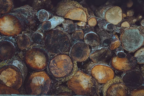 Pile Wood Texture Background — Stock Photo, Image