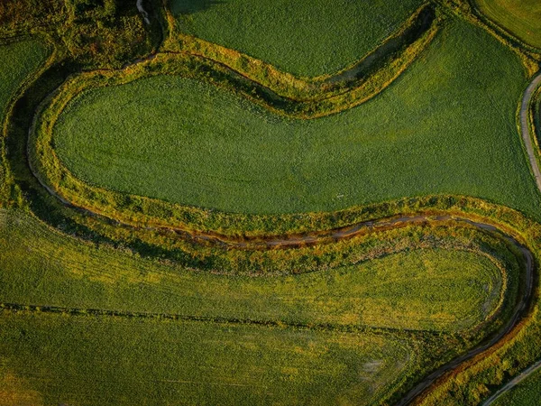 Vista Aérea Dos Campos Agrícolas Das Plantações — Fotografia de Stock