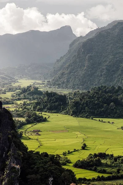 Eine Vertikale Luftaufnahme Von Reisfeldern Und Bäumen Vor Einem Berghang — Stockfoto