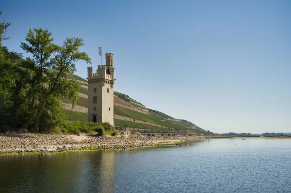 Bingen Rhein Almanya Daki Tarihi Fare Kulesi — Stok fotoğraf
