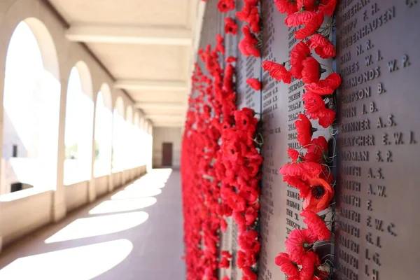 Gros Plan Des Fleurs Rouges Sur Mur Commémoratif — Photo