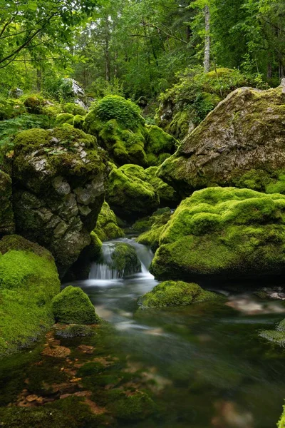 Krajobraz Płynący Strumień Meczetowymi Skałami Roślinami Słowenii — Zdjęcie stockowe