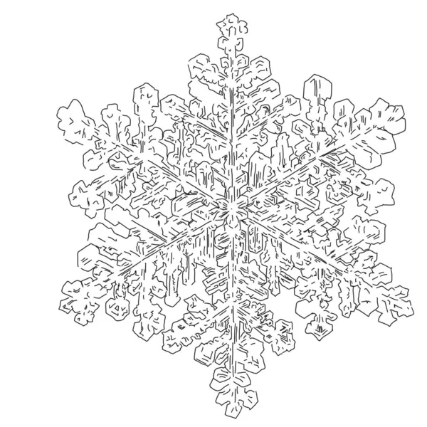 Linha Flocos Neve Simples Preto Branco Ilustrado Design Inverno Inspirado — Fotografia de Stock