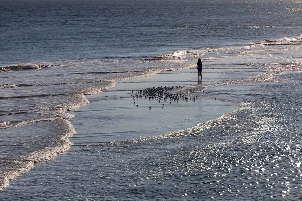 Sylwetka Dziewczyny Odległość Ptaki Czystej Wodzie Morskiej Pobliżu Brzegu — Zdjęcie stockowe