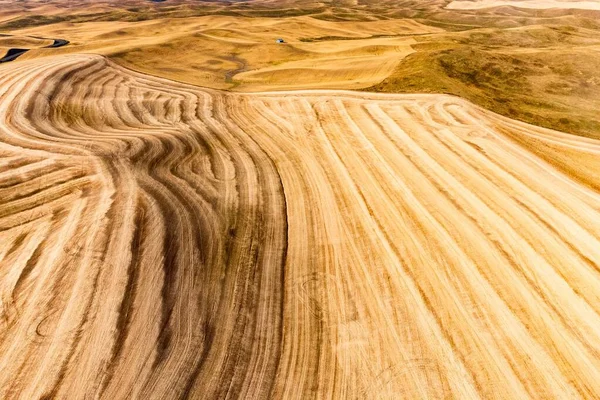 Aerial View Wheat Field Rolling Hill Pattern — Stock Photo, Image