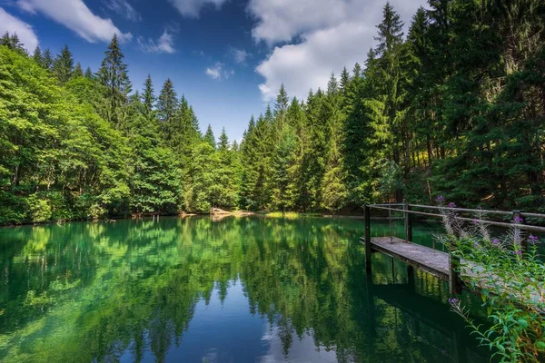 图林根森林的风景 有一个码头 水面上倒映着常绿的树 — 图库照片