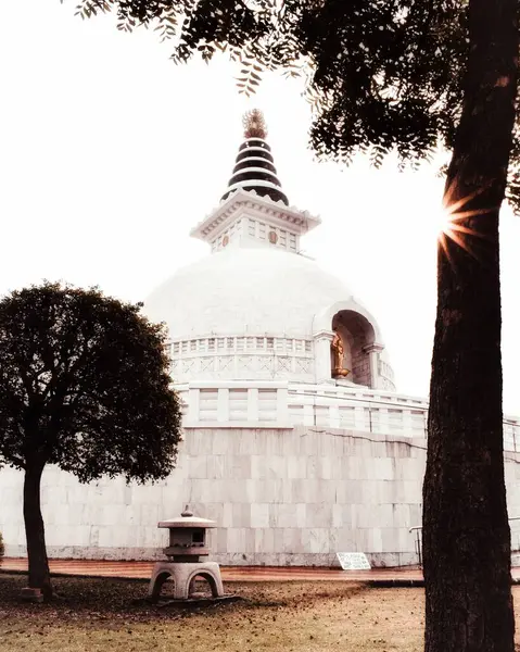Delhi Deki Indraprastha Parkında Bir Shanti Stupa — Stok fotoğraf