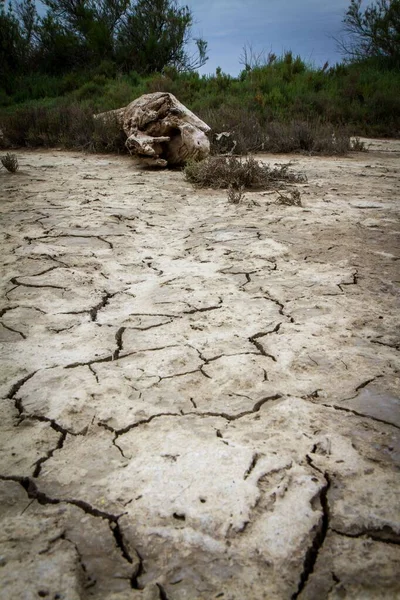Colpo Verticale Del Terreno Sabbia Incrinato Deserto — Foto Stock