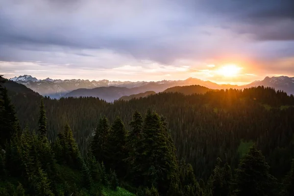 Letecký Pohled Horskou Krajinu Obklopenou Hustými Stromy Při Západu Slunce — Stock fotografie