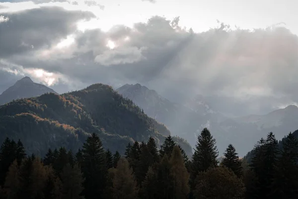 Widok Lotu Ptaka Gęstego Zielonego Górskiego Lasu Pokrytego Gęstą Mgłą — Zdjęcie stockowe