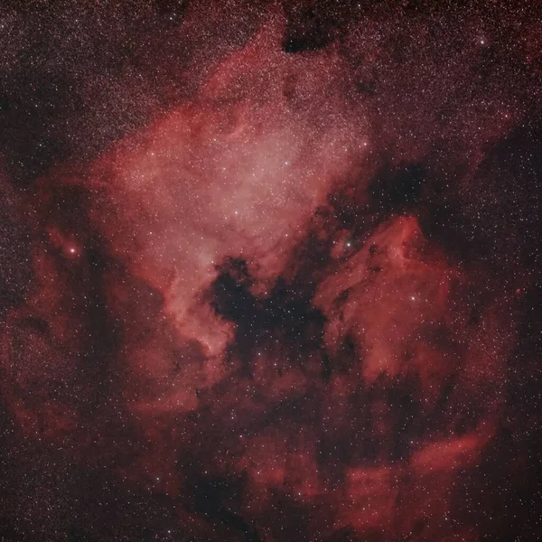 漆黑而神奇的鹈鹕星云星座天鹅座 — 图库照片