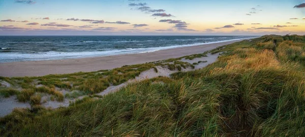 丹麦北海落日的全景照片 其前景是沙丘草 — 图库照片