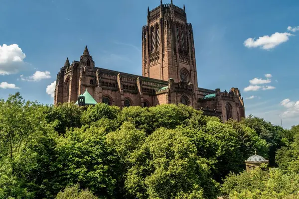 Niski Kąt Ujęcia Katedry Liverpoolu James Mount Ogrody Otoczone Gęstymi — Zdjęcie stockowe