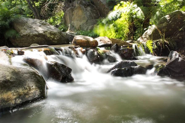 Una Hermosa Vista Del Río Que Fluye Bosque — Foto de Stock