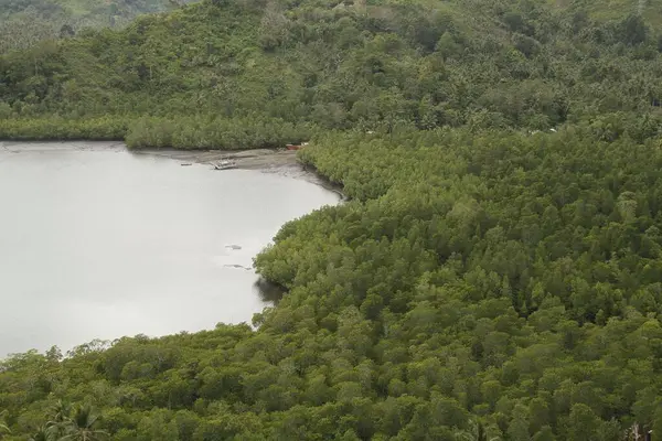 山谷中绿树环绕的湖中的无人驾驶飞机射击 — 图库照片
