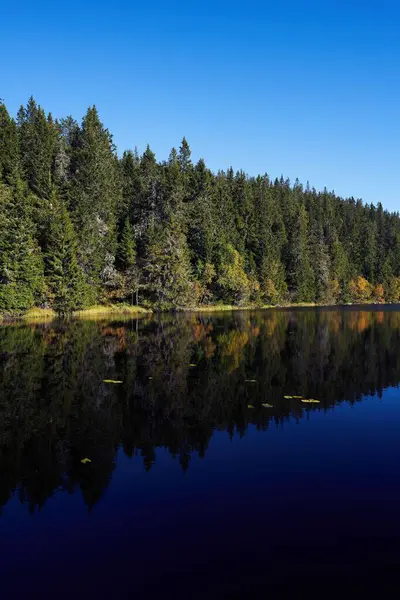 Eine Vertikale Aufnahme Des Sees Svartdal Stjerna Mit Herbstbäumen Den — Stockfoto