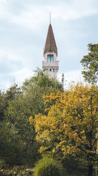 在多云的天气里 一座中世纪的塔在树后垂直低角的景象 — 图库照片
