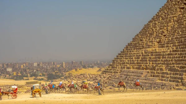 一群人骑着骆驼在金字塔前 — 图库照片