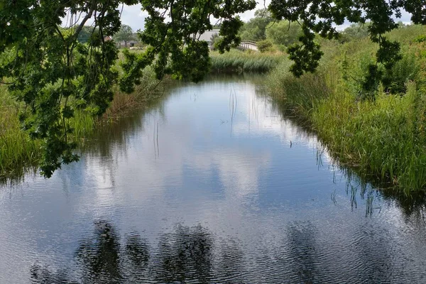 Sveç Teki Çayırda Küçük Bir Nehir — Stok fotoğraf