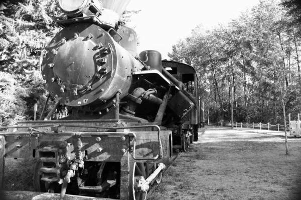 Échelle Gris Une Vieille Locomotive Entourée Grands Arbres Pendant Journée — Photo