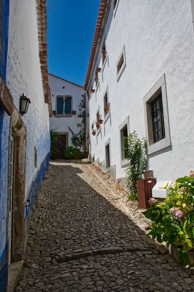 Een Smalle Straat Een Centrum Van Obidos Portugal Verticaal — Stockfoto