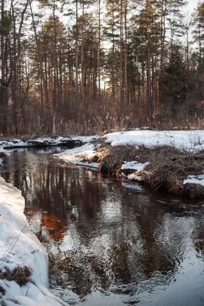 Vertikal Bild Flod Med Träd Vintern — Stockfoto