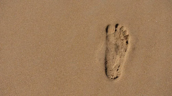 Ein Fußabdruck Sandstrand Gut Für Hintergründe — Stockfoto
