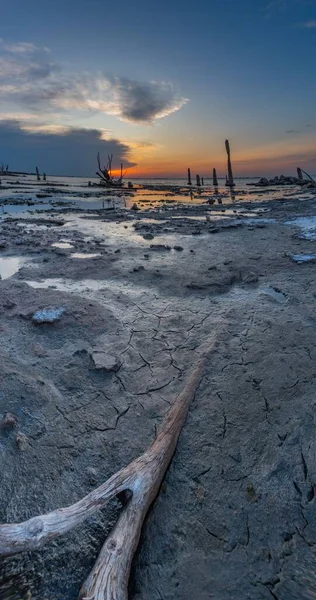 Vertical View Muddy Coast Seascape Sunset — Stock Photo, Image