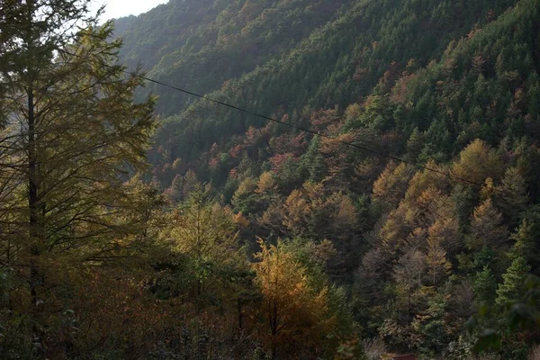 stock image A drone view of the beautiful nature scene with mountains full of pine trees in the daytime