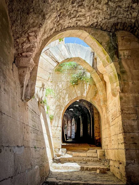 Eine Vertikale Aufnahme Des Krak Des Chevalliers Schloss Syrien — Stockfoto