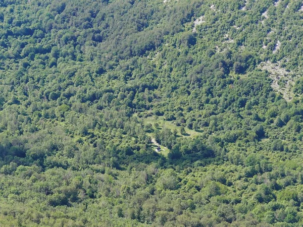 An aerial shot of a small church building in a green forest on Velebit Mountain, Croatia
