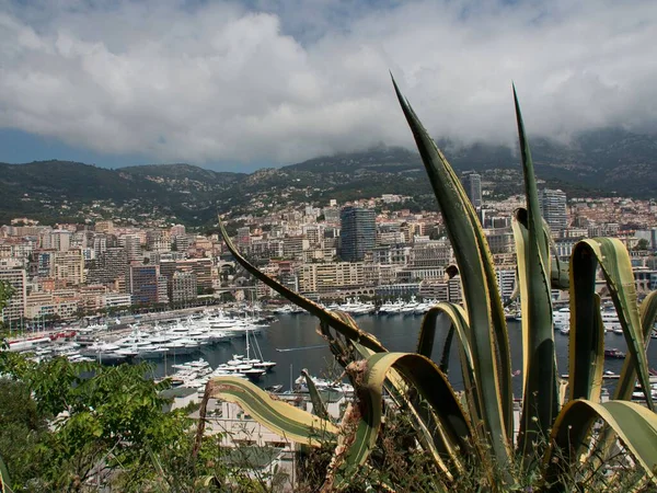Kaktüs Liman Monako Mimarisi Bulutlu Gökyüzü Dağ Manzarası — Stok fotoğraf