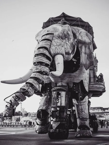 法国南特一座大象雕像的黑白照片 — 图库照片