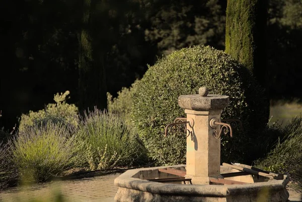 Una Fontana Nel Giardino Circondata Cespugli Fiori Lavanda — Foto Stock