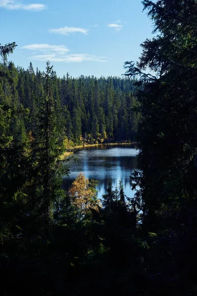 Pionowe Ujęcie Jeziora Svartdal Stjerna Otoczone Drzewami Jesienią Totenaasen Hills — Zdjęcie stockowe