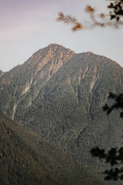 Eine Vertikale Aufnahme Eines Berges Mit Grüner Vegetation Vor Dem — Stockfoto