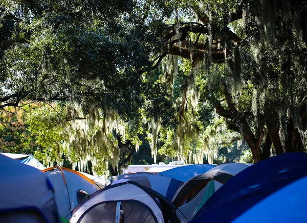 キャンプ場の緑豊かな木々の下の青いテント — ストック写真